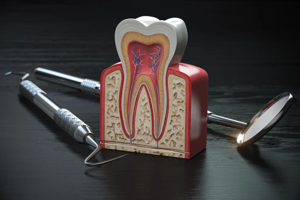 Endodontics